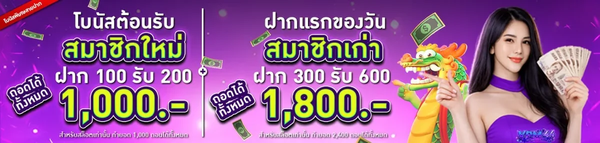 vpm44 banner